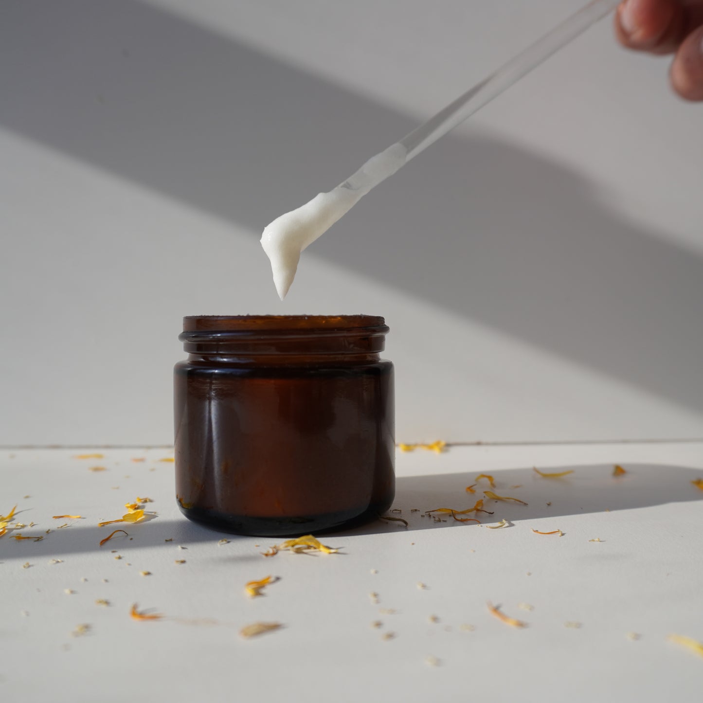 Omni Cream - Chamomile, Calendula and Plantain Face Moisturizer