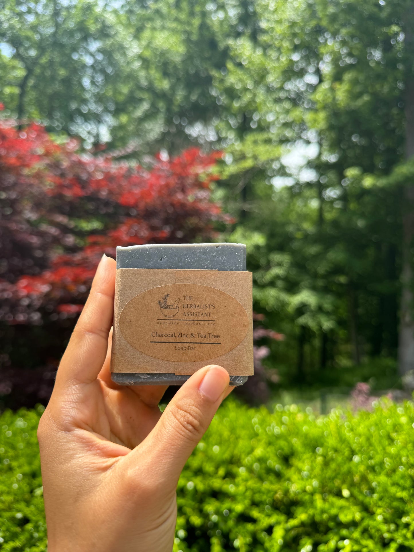 Charcoal, Tea Tree & Zinc Bar Soap - Acne Fighting Charcoal Bar Soap - The Herbalist's Assistant