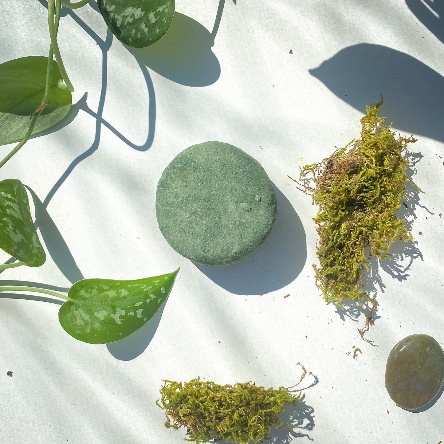 Earth inspired, sandalwood & patchouli shampoo bar