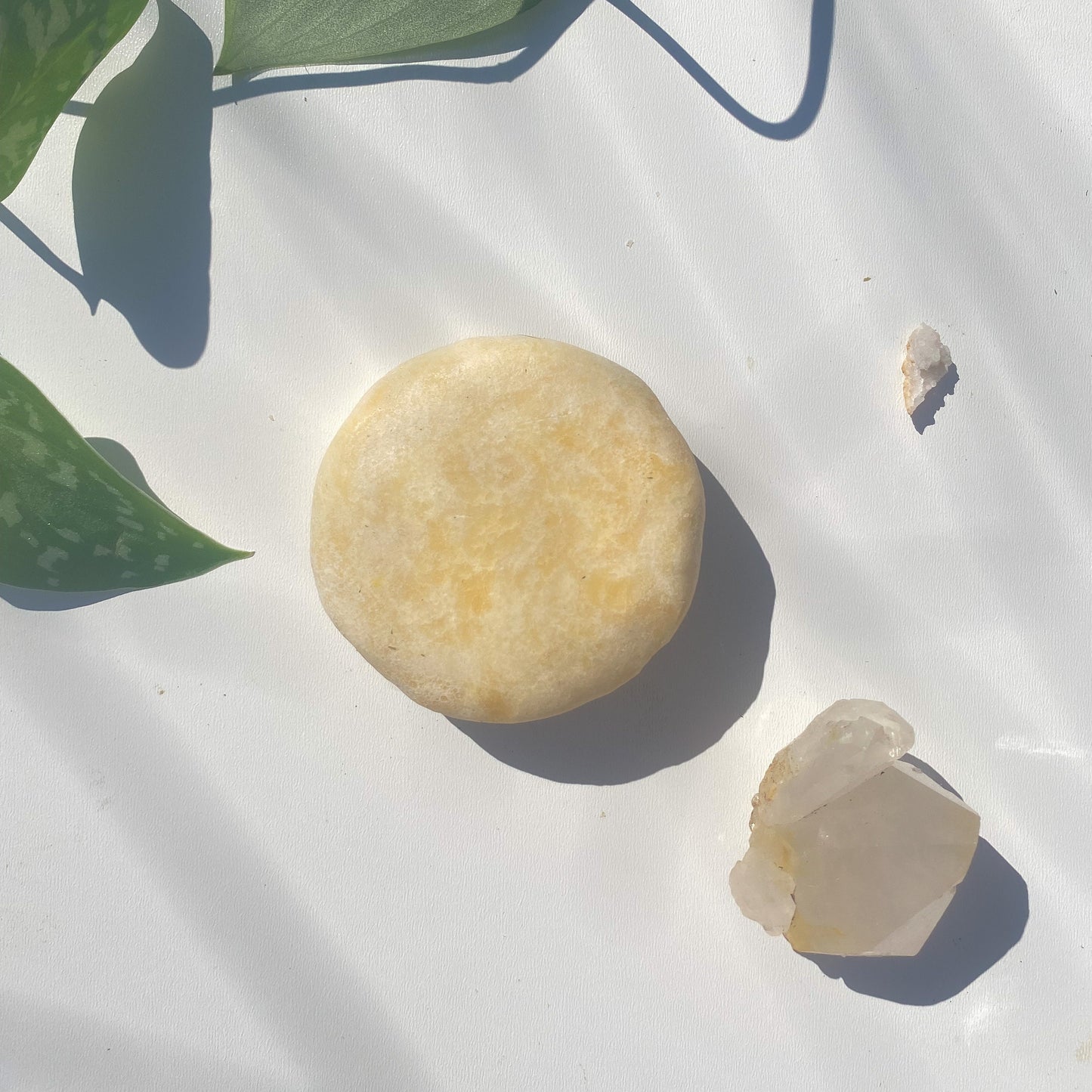 lemongrass and green tea shampoo bar