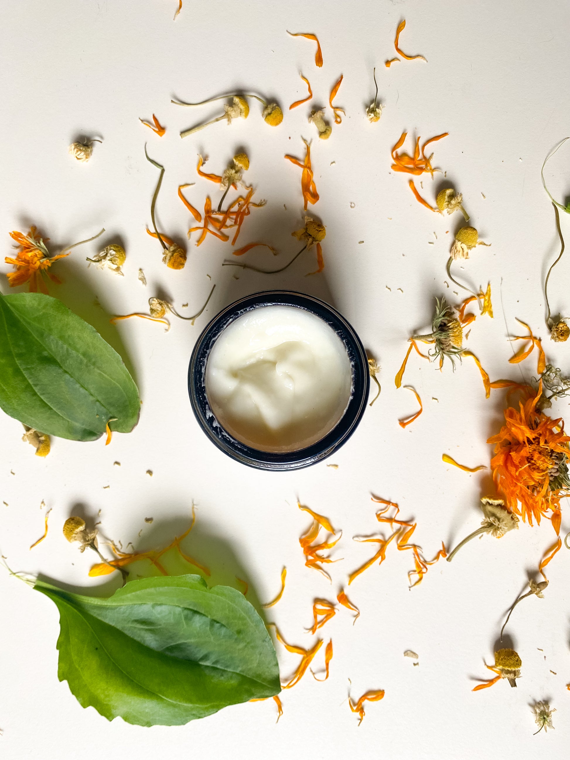 Omni Cream - Chamomile, Calendula and Plantain Face Moisturizer - The Herbalist's Assistant