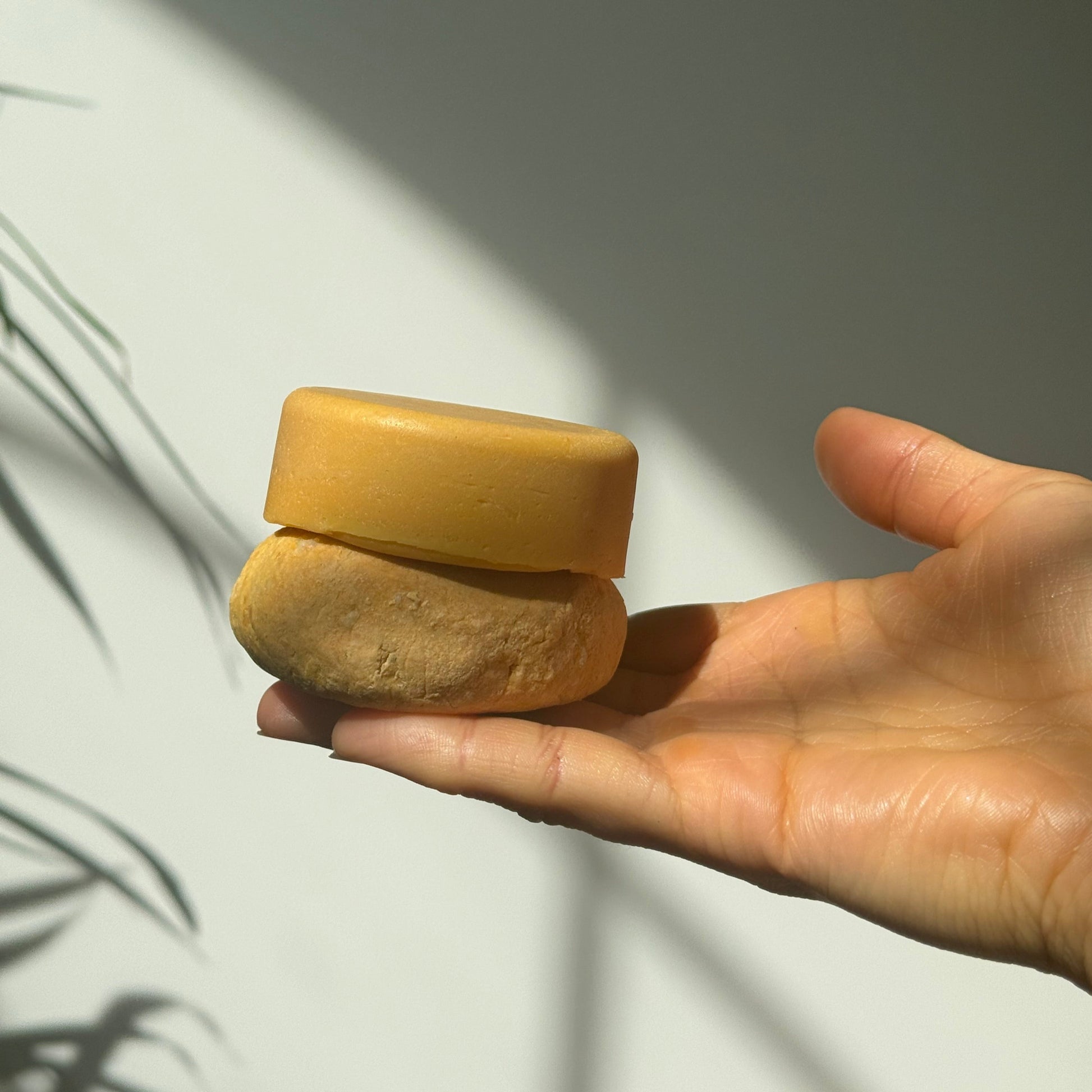 Fire Vegan Shampoo Bar - Sage & Orange Solid Shampoo - The Herbalist's Assistant