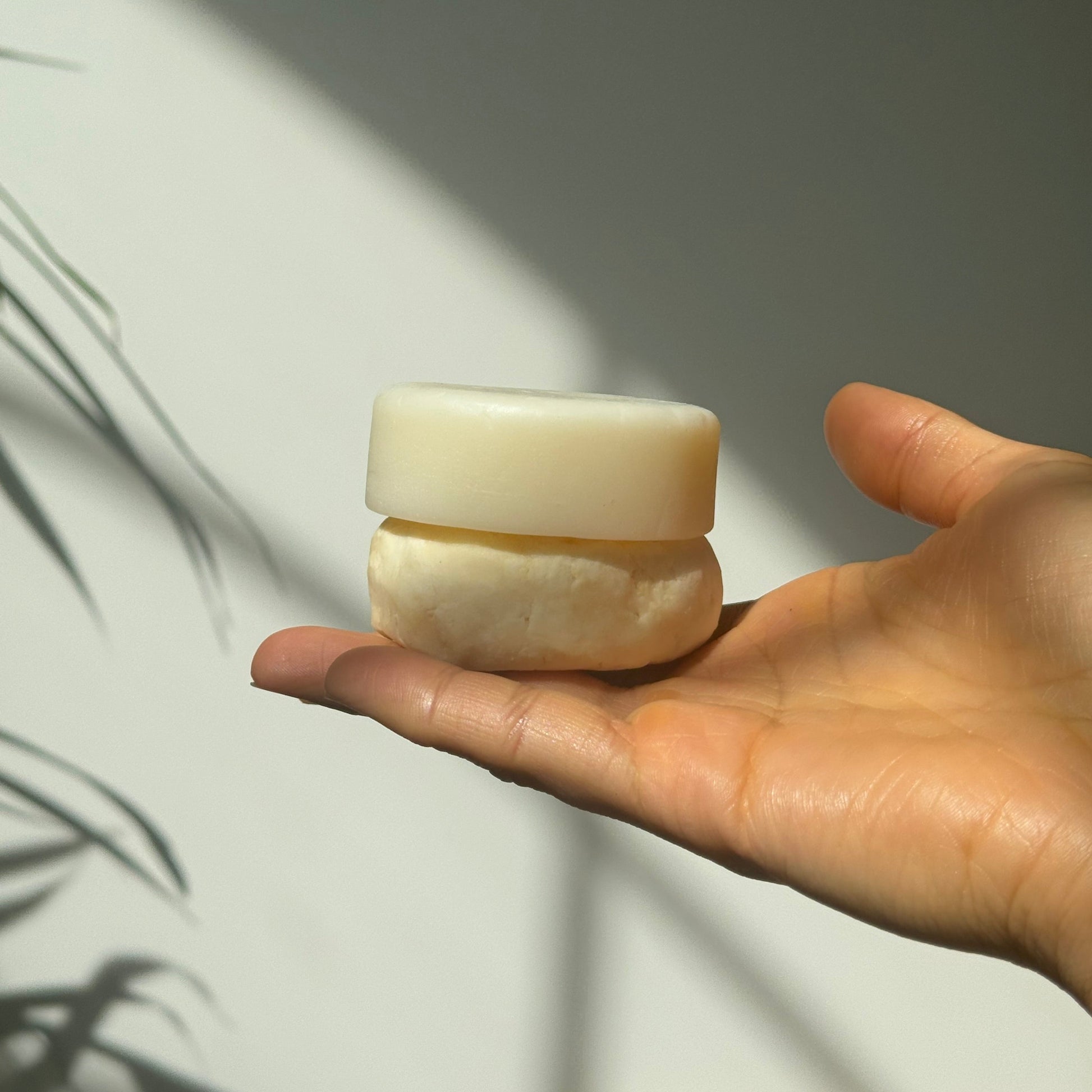 Air Shampoo bar - Lemongrass & Green Tea Shampoo - The Herbalist's Assistant