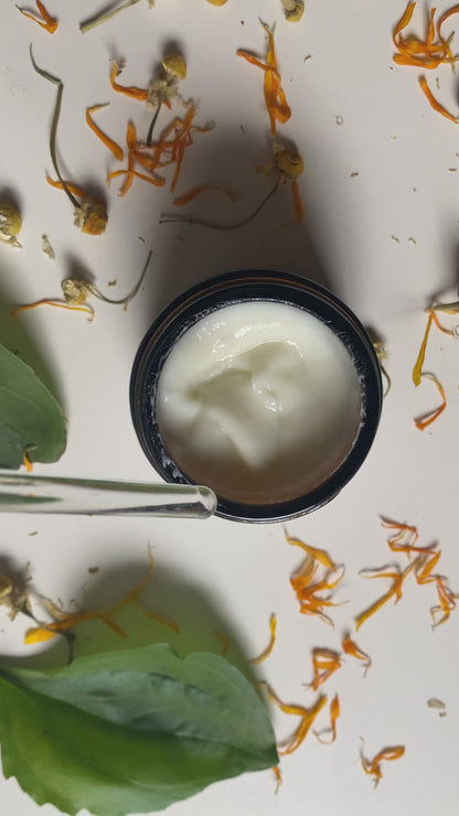 Omni Cream - Chamomile, Calendula and Plantain Face Moisturizer